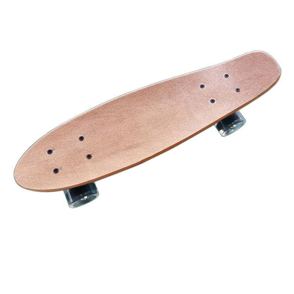 22inch Skateboard